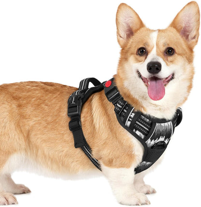 Rabbitgoo Dog Harness Medium Sized, Updated Easy on & off with 3 Buckles | No Pull No Choke, Walking with 2 Clips and Handle, Adjustable Soft Reflective, Blue, Medium72