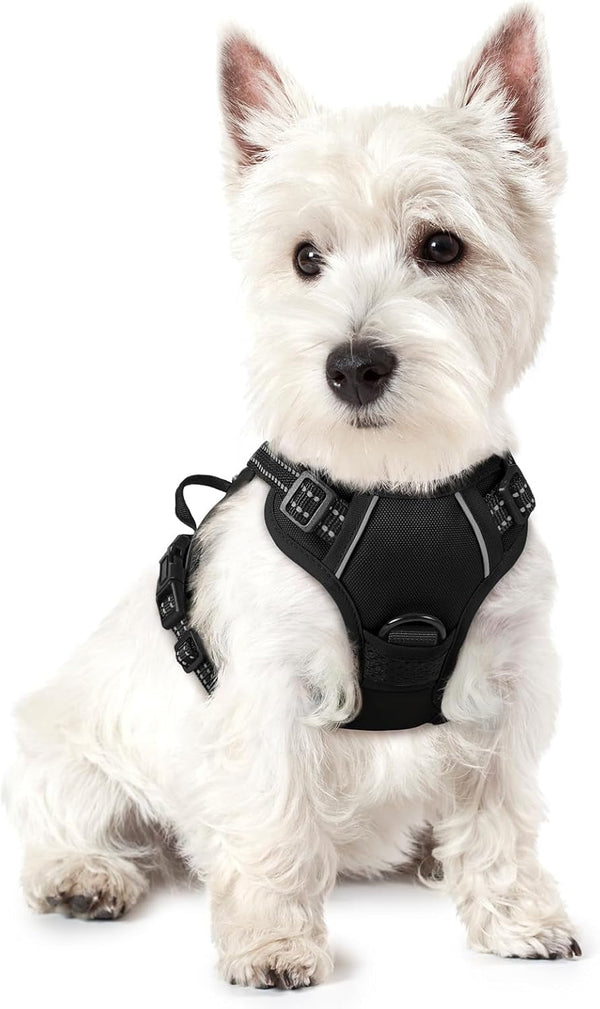 Rabbitgoo Dog Harness, No Pull for Large Dogs with 2 Leash Clips, Pet Vest | No Choke with Handle, Adjustable Soft Padded, Reflective, Easy Control for Walking, Black, Large147