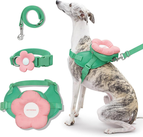 VETRESKA Flora Dog Harness, Leash and Collar Set, No Pull Vest Harness, L | for Walking and Training, Adjustable, Easy Control and Soft Padded Pet Harness and Backpack for Small Medium Large Dogs8