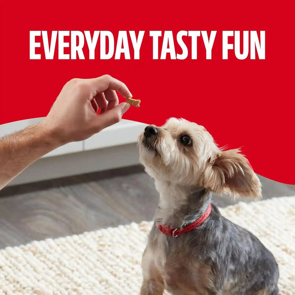 Milk-Bone Soft & Chewy Mini'S Dog Training Treats, 18 Oz Canister | Made with Real Chicken Breast, Small Dog Treats for Training and Rewarding, 18% Protein, Fortified with Vitamins and Minerals6