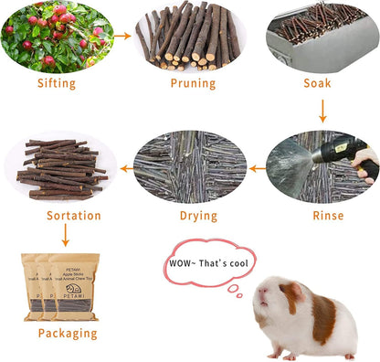 700G Apple Sticks Molar Wood Treats, Rabbit Toys Chinchilla Guinea Pig Bunny Toys Wood Chews Sticks for Teeth Rabbit Food Guinea Pig Hamster Gerbil Chews Small Animals Snacks(200 Pcs)6