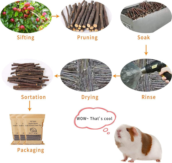 700G Apple Sticks Molar Wood Treats, Rabbit Toys Chinchilla Guinea Pig Bunny Toys Wood Chews Sticks for Teeth Rabbit Food Guinea Pig Hamster Gerbil Chews Small Animals Snacks(200 Pcs)6