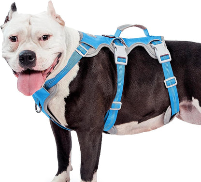 Huntboo Escape Proof Dog Harness, Escape Artist Harness, Reflective Harness with Padded Handle, Breathable, Durable, Adjustable Vest for Medium Dogs Walking, Training, and Running Gear (Blue, M)10