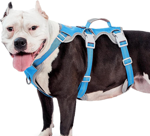Huntboo Escape Proof Dog Harness, Escape Artist Harness, Reflective Harness with Padded Handle, Breathable, Durable, Adjustable Vest for Medium Dogs Walking, Training, and Running Gear (Blue, M)10