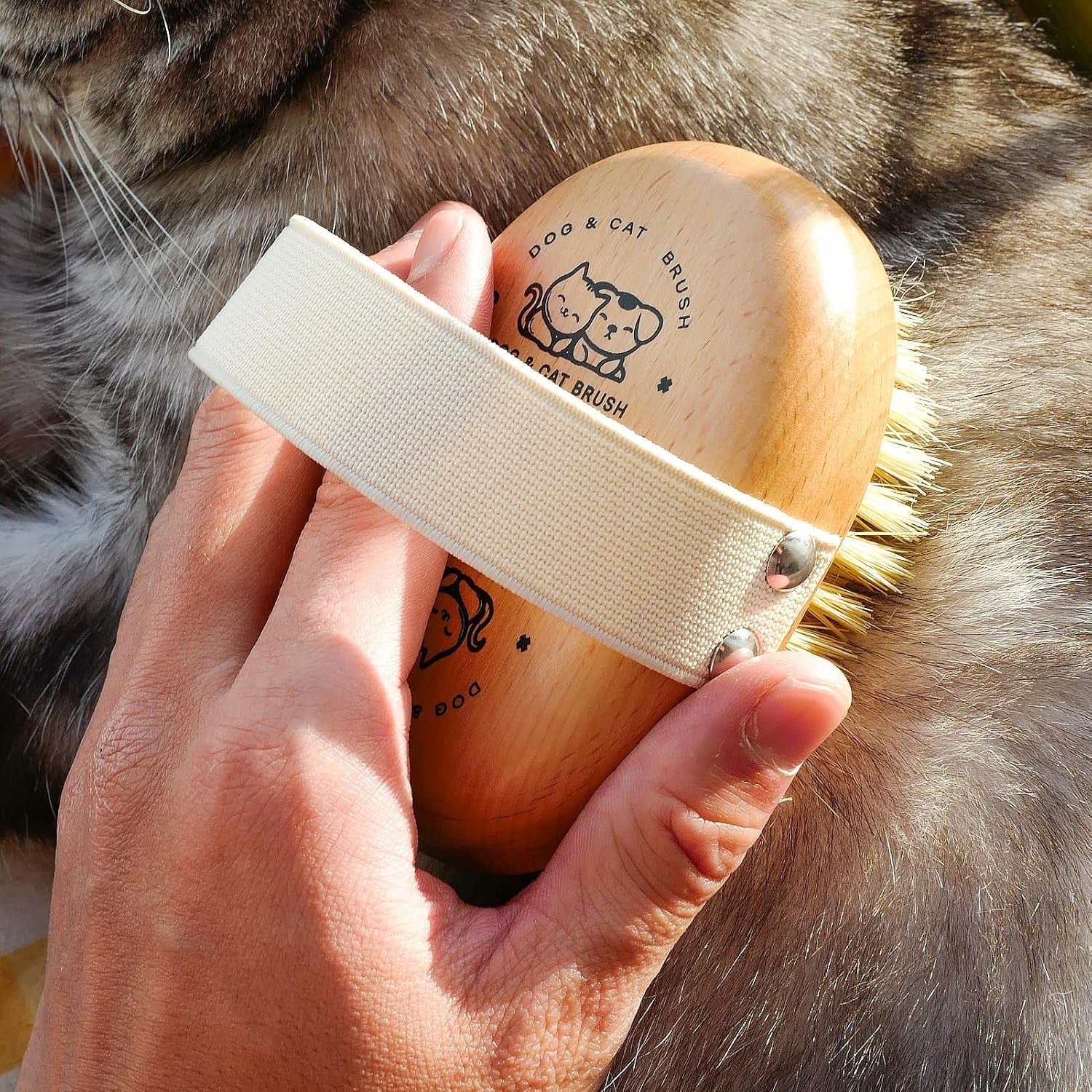 soft-dog-brush-bristle-brush-for-dog-grooming-dog-palm-brush-gentle-grooming-for-small-large-dogs-wood-handle