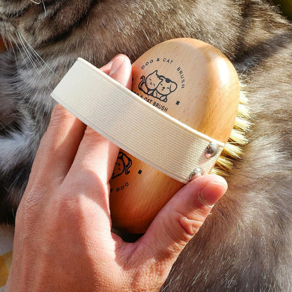 Soft Dog Brush, Bristle Brush for Dog Grooming | Dog Palm Brush, Gentle Grooming, for Small & Large Dogs, Wood Handle5