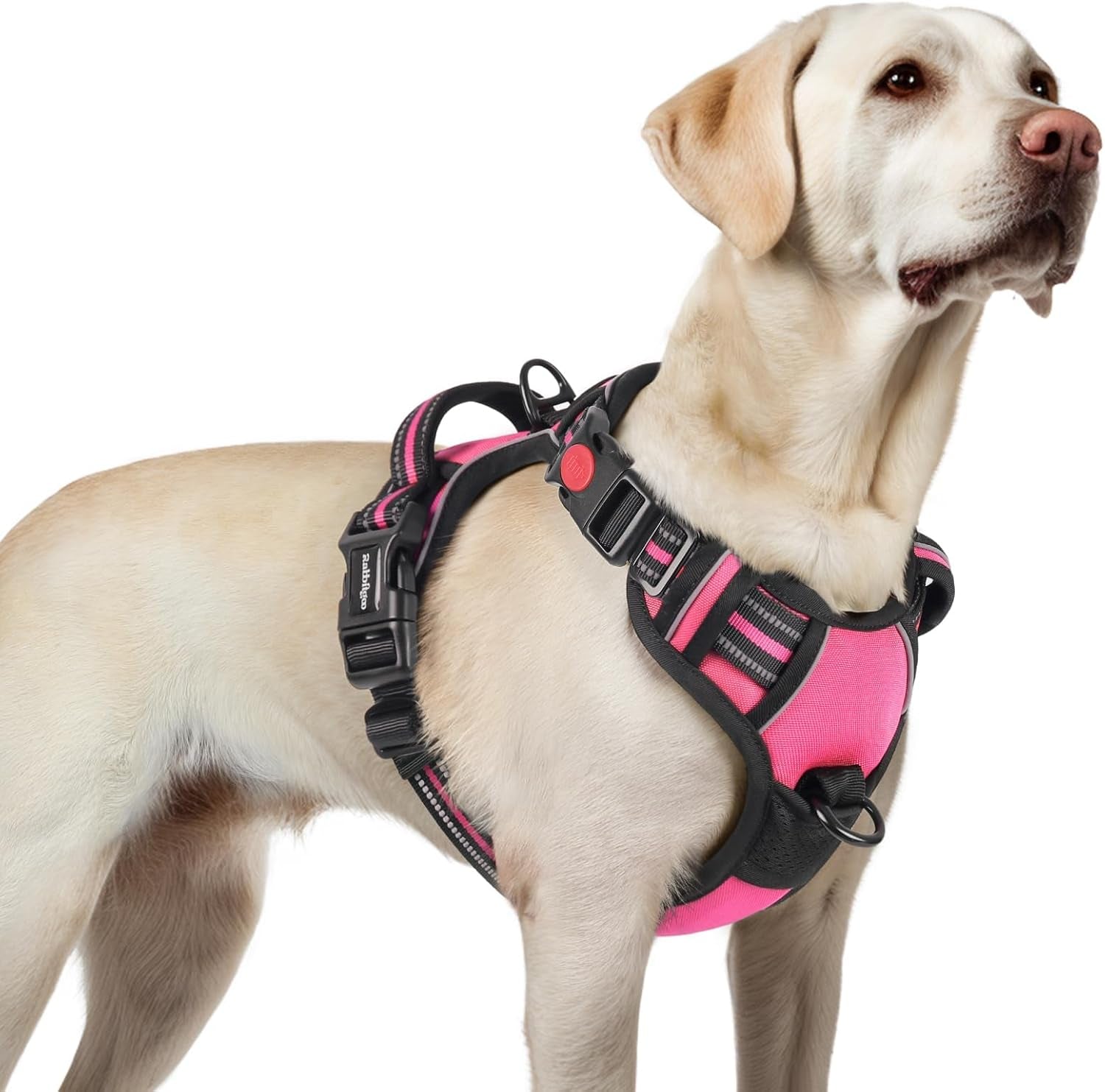 rabbitgoo-dog-harness-medium-sized-updated-easy-on-off-with-3-buckles-no-pull-no-choke-walking-with-2-clips-and-handle-adjustable-soft-reflective-blue-medium