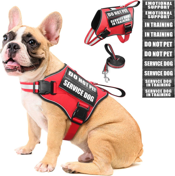 Service Dog Vest Harness and Leash Set+10 Patches,No Pull&Adjustable Reflective Dog Harness with Soft Padded Handle for Training/Everyday,Fit Small/Medium/Large/Extra-Large Dogs(Red XL) | No Pull&Adjustable Reflective Service Dog Harness Large Sized,Dog Leash with 2 Soft Padded Handles,For Training Working22