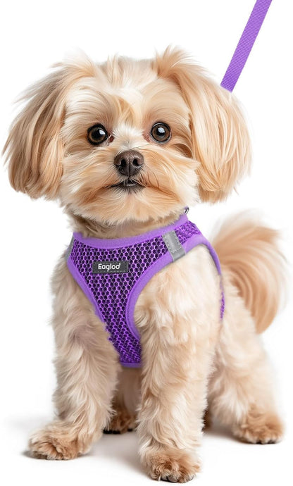 Eagloo Small Dog Harness and Leash Set, Step in Small Sized Puppy Pet Vest | Light, Soft, Breathable Air Mesh, Easy on and off with Hook & Loop, Reflective for Safe Walking, Pink, S11