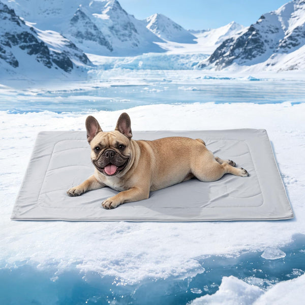 Mora Pets Premium Cooling Blanket for Dogs, Q-MAX>0.5 Washable Breathable Cooling Mat, Lightweight Soft Summer Pet Throw Blanket, Furniture Protector Bed Couch Cover for Small Dog Cat, Gray, 29X401