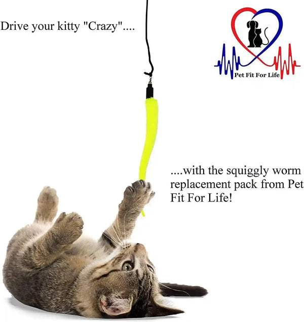 Pet Fit for Life 5 Piece Replacement Pack of Worms for Cat and Kitten Toy | Replacement for Interactive Wand & Catch Wand with 5 Assorted Soft Squiggly Worm Attachments. Easy Storage after Play.2