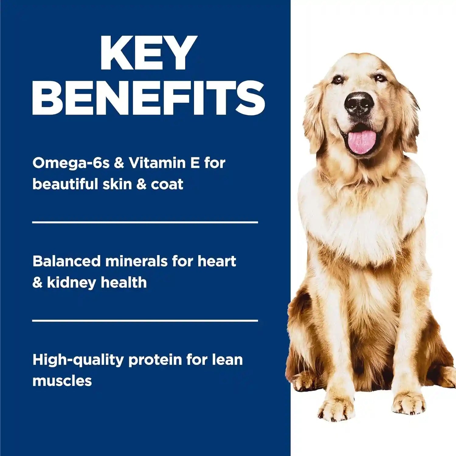 hills-science-diet-adult-perfect-weight-wet-dog-food-1-veterinarian-recommended-vegetable-chicken-stew-12-5-oz-cans-12-pack