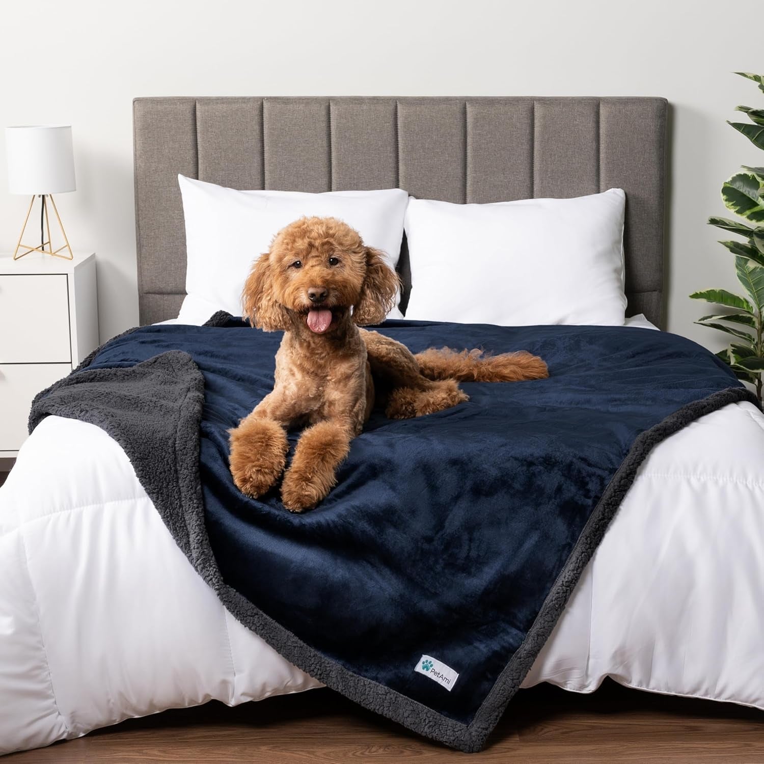 petami-waterproof-dog-blanket-for-couch-extra-large-80x60-pee-proof-sherpa-fleece-reversible-pet-throw-furniture-protector-for-bed-sofa-crate-kennel-soft-washable-cover-for-dog-cat-grey-sherpa
