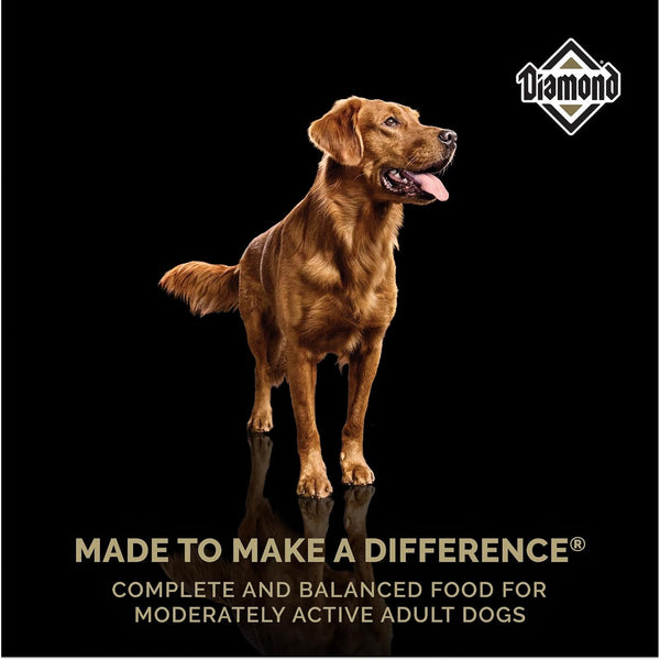 Diamond Maintenance Adult Dry Dog Food, Chicken Protein, 40Lb | for Moderately Active Dogs | Omega Fatty Acids Help Support Healthy Skin & Shiny Coat | Guaranteed Probiotics7