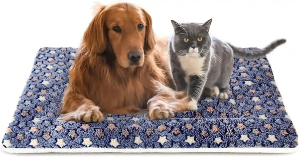 Mora Pets Dog Crate Pad - Ultra Soft Pet Bed with Cute Star Print, Washable Mat for Large Medium Small Dogs, Reversible Fleece Kennel Liner, Cat Bed 23 X 18 Inch Brown23