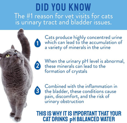 CATWATER by VETWATER | Ph-Balanced and Mineral-Free Cat Water | Clinically Proven Urinary Formula | Helps Prevent Cat Urinary Issues, FLUTD | 135.2 Oz, 2-Pk, Clear (CW60101-2)3
