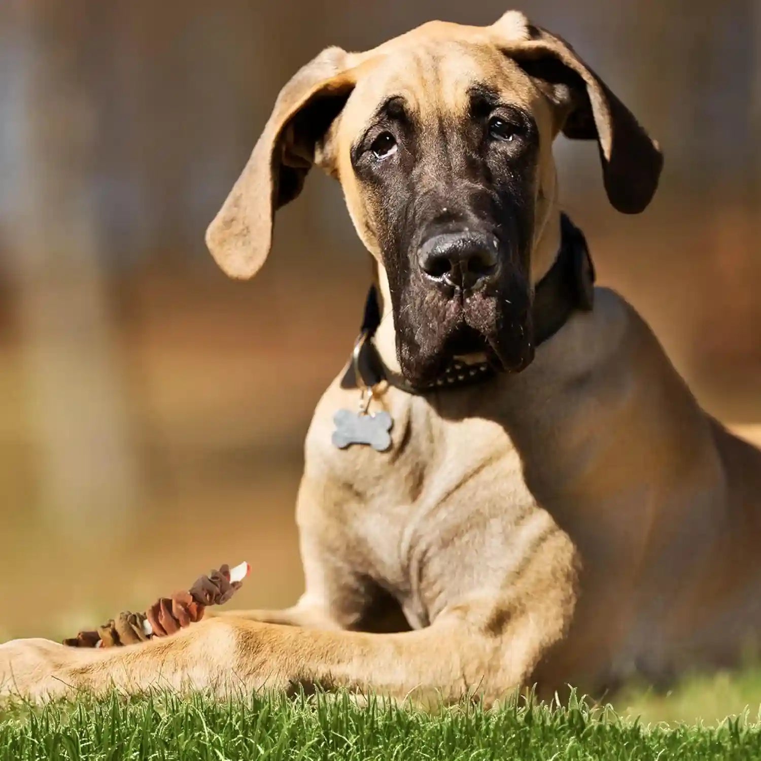 good-n-fun-triple-flavor-colossal-kabobs-treat-your-extra-large-dog-to-long-lasting-rawhide-chews-3-count