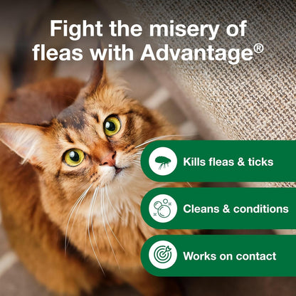 Advantage Cat Flea & Tick Shampoo for Kittens & Adult Cats | Kills Fleas & Ticks | 8 Oz.6