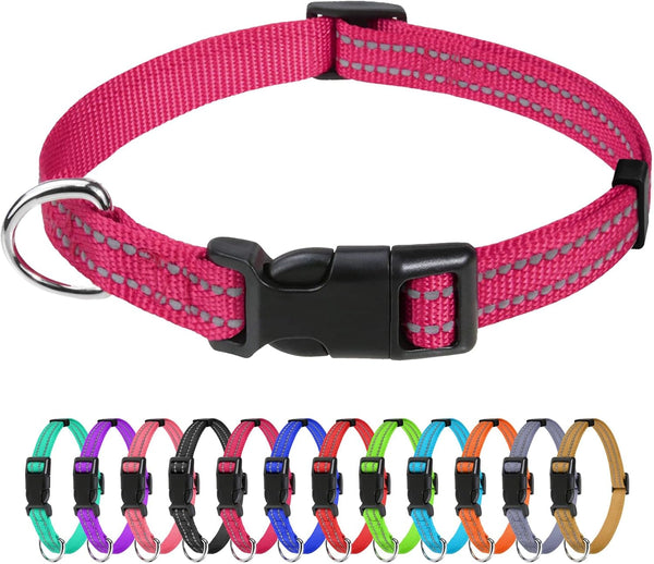 Tagme Small Dog Collar, Reflective Puppy Collar, Sky Blue, 3/8" Width | Lightweight, Nylon Collar for Puppies, Chihuahua, Yorkie & Teacup Dogs 5-15 Lbs, Reflective for Evening Walks, 12 Colors10