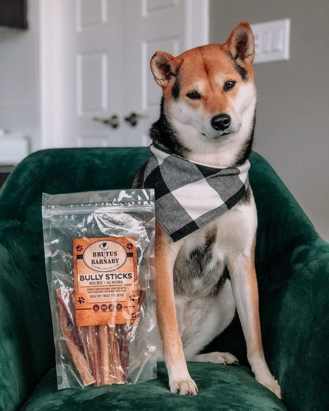 brutus-barnaby-bully-sticks-for-small-medium-large-dogs-6-inch-12-ct-long-lasting-thick-grass-fed-beef-pizzle-chew-treats-odor-free-and-rawhide-free-great-for-aggressive-chewers