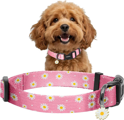 Kazazoo Dog Collar Cute and Soft Nylon Puppy Collar Girl Dogs, Adjustable Purple Dog Collars for Medium Dogs, Purple Flowers-M19