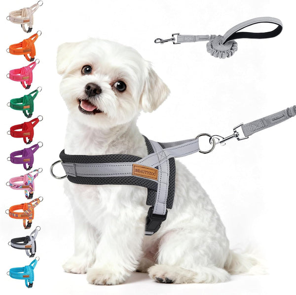 BEAUTYZOO Dog Harness No Pull, Quick Fit Dog Harness and Leash Set, Escape Proof Vest Harness with Soft Handle, Reflective Breathable Mesh Padding Harness for Medium Size Dog Training Walking, Beige M41