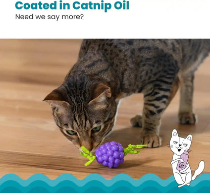 Catstages Bouncing Grape Teether Cat Toy, Soft and Textured Chew, Catnip Oil Coating4