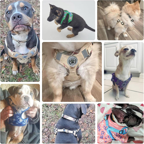 BEAUTYZOO Dog Harness Collar and Leash Set, No-Pull Step in Dog Harness for Large Dogs, Reflective No-Choke Puppy Vest Harness, Adjustable Soft Padded Pet Vest for French Bulldog, Dark Pink L5