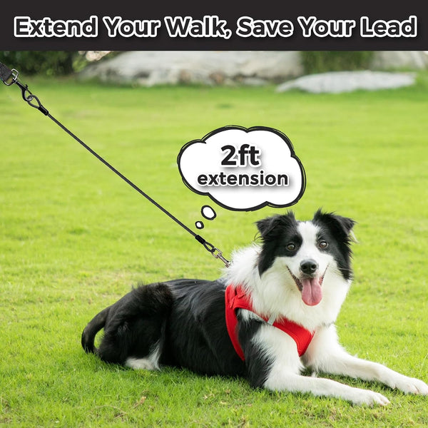 Chew Proof Dog Leash Extender, 2FT 5Mm Metal Lead Extension, 360° Tangle-Free for Walking & Training Puppies, Fits Small/Medium/Large Dogs, Collar & Harness Compatible (Black/Orange/Blue)2