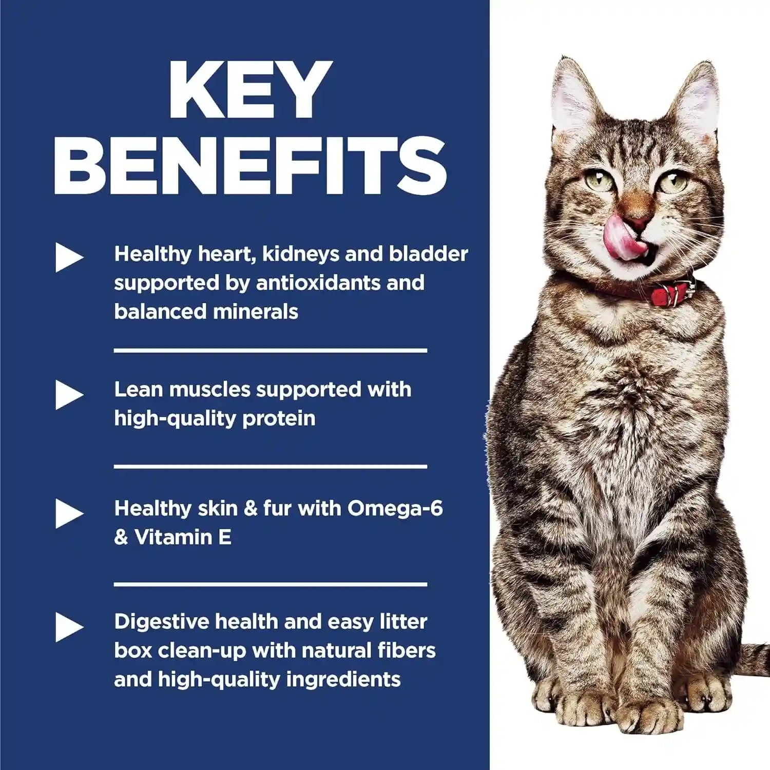 hills-science-diet-adult-7-indoor-dry-cat-food-1-veterinarian-recommended-chicken-recipe-7-lb-bag