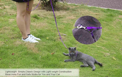 AMAGOOD 6 FT Puppy/Leash, Strong Traditional Style with Easy to Use Collar Hook, Great for Small, Medium and Large Dogs (5/8In X 6 Ft, Purple)3