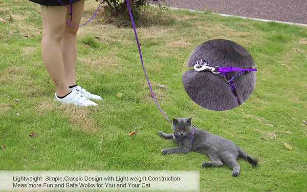 AMAGOOD 6 FT Puppy/Leash, Strong Traditional Style with Easy to Use Collar Hook, Great for Small, Medium and Large Dogs (5/8In X 6 Ft, Purple)3