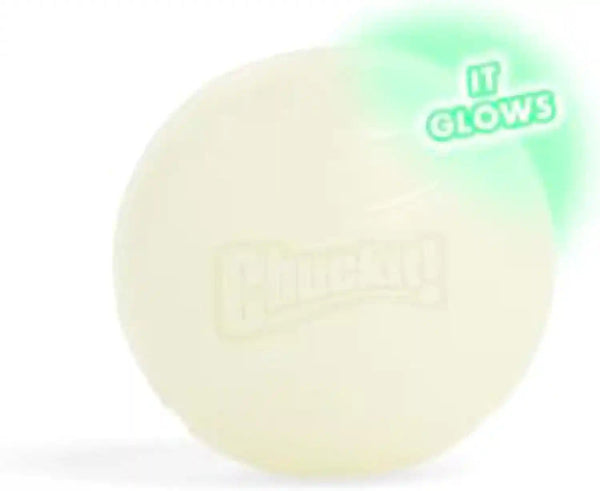 Chuckit! Glow in the Dark Bouncy Balls - Ball for Dogs, Chuckit Dog Toy, Max Glow Balls - Medium, 2.5 Inch Pack of 210