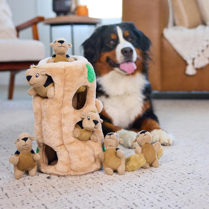 Outward Hound Hide-A-Squirrel Dog Toy – Interactive 2‑In‑1 Plush Puzzle with 6 Squeaky Removable Squirrels, X-Large6