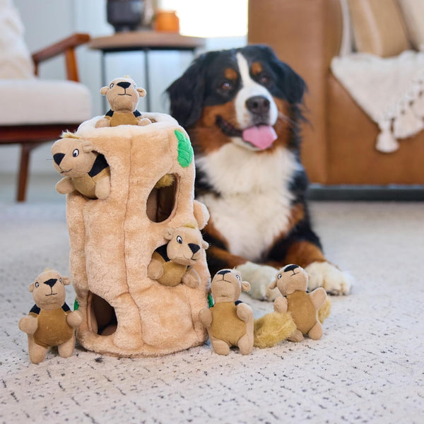 Outward Hound Hide-A-Squirrel Dog Toy – Interactive 2‑In‑1 Plush Puzzle with 6 Squeaky Removable Squirrels, X-Large6