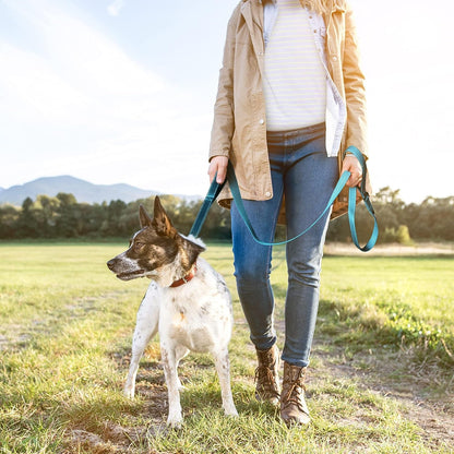 Twoear 6FT 1IN Strong Blue Dog Leash with 2 Padded Handles, Traffic Handle Extra Control, Comfortable Soft Dual Handle, Auto Lock Hook, Reflective Walking Lead for Small Medium and Large Dogs8