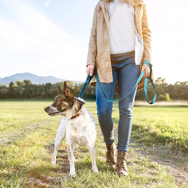 Twoear 6FT 1IN Strong Blue Dog Leash with 2 Padded Handles, Traffic Handle Extra Control, Comfortable Soft Dual Handle, Auto Lock Hook, Reflective Walking Lead for Small Medium and Large Dogs8