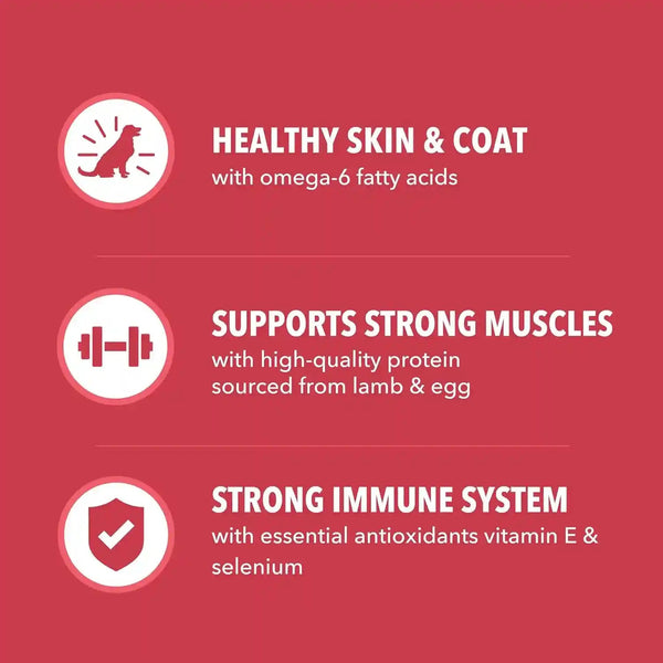IAMS Proactive Health Minichunks Dry Dog Food, Lamb & Rice, 15 Lb | Real Lamb #1 Ingredient, Omega-6 Fatty Acids for Skin & Coat, Natural Fiber & Prebiotics, No Fillers or Artificial Flavors5