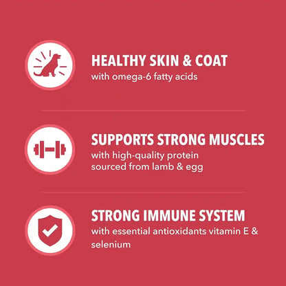 IAMS Proactive Health Minichunks Dry Dog Food, Lamb & Rice, 15 Lb | Real Lamb #1 Ingredient, Omega-6 Fatty Acids for Skin & Coat, Natural Fiber & Prebiotics, No Fillers or Artificial Flavors5