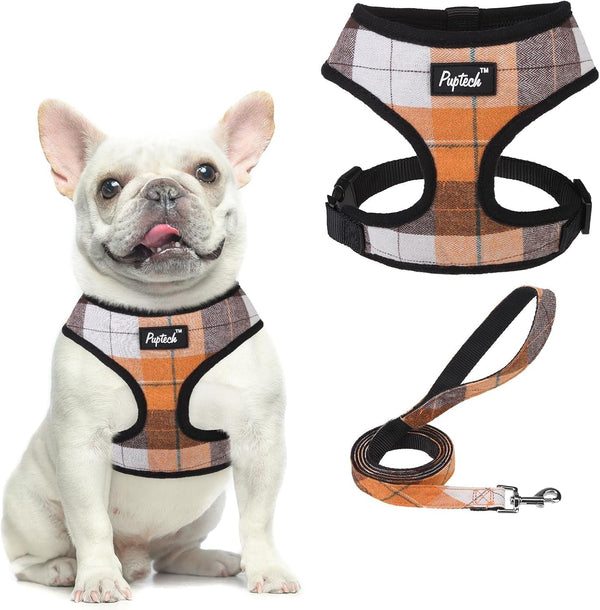 PUPTECK Soft Mesh Dog Harness Small Sized and Leash Set Pet Puppy Cat Comfort Padded Vest No Pull Harnesses, Beige, S43