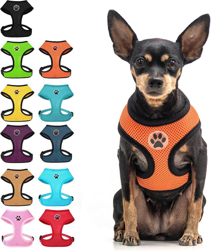 BINGPET Small Dog Harness, No Pull Dog Harness Small Sized Dogs, Soft Light Breathable Mesh Puppy Vest with Safety Buckle-Adjustable Step in Pet Harnesses for Easy Walking, Running, Training23