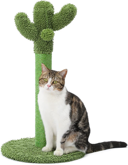 Made4Pets Cactus Cat Scratching Post for Indoor Cats with Plush Ball, 25.6" | Interactive Cactus Cat Scratcher with Natural Sisal Rope, Sturdy Base and Plush Ball for Daily Scratching and Indoor Play1