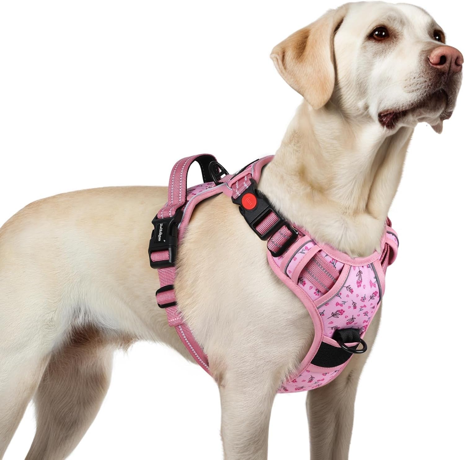 rabbitgoo-dog-harness-medium-sized-updated-easy-on-off-with-3-buckles-no-pull-no-choke-walking-with-2-clips-and-handle-adjustable-soft-reflective-blue-medium