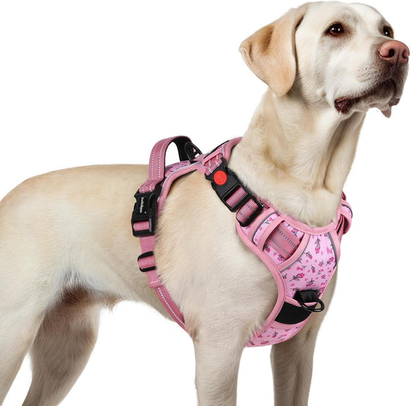 Rabbitgoo Dog Harness Medium Sized, Updated Easy on & off with 3 Buckles | No Pull No Choke, Walking with 2 Clips and Handle, Adjustable Soft Reflective, Blue, Medium21
