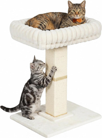 Morden Cat Scratching Post with Top Plush Bed for Indoor Cats | Removable & Washable Perch, Small Morden Cat Tree, Cat Tower with Scratch Post, Natural Sisal, White1