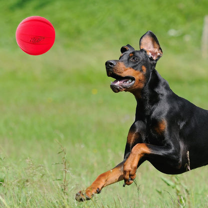 Nerf Dog Classic Squeak Ball Outdoor Dog Toy, 3.8 Inch Dog Ball Fetch Toy, Squeaking Toy for Medium and Large Breeds, Green/Red, 2 Count2