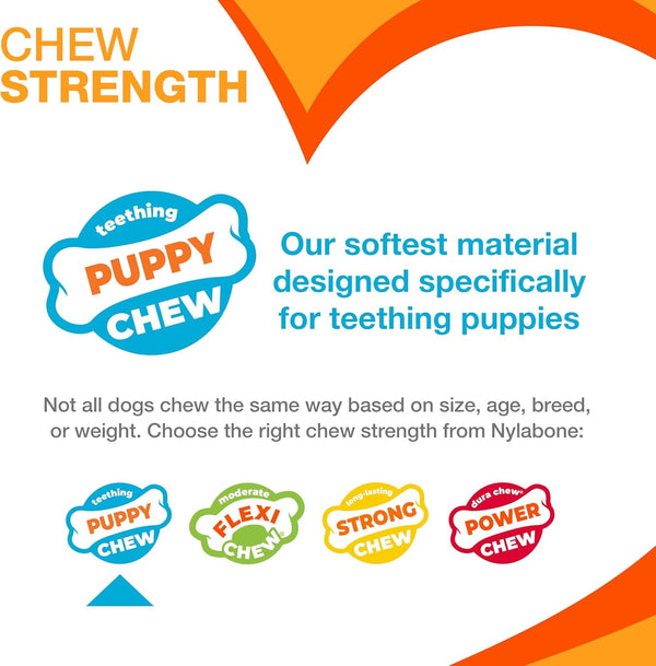 Nylabone Puppy Chew Teething Key Ring Dog Chew Toy, Bacon Flavor, Small | Medium Breeds, Soothing Teething Toys for Puppies, Puppy Enrichment, Freeze for Added Comfort, for Puppies up to 35 Lbs5