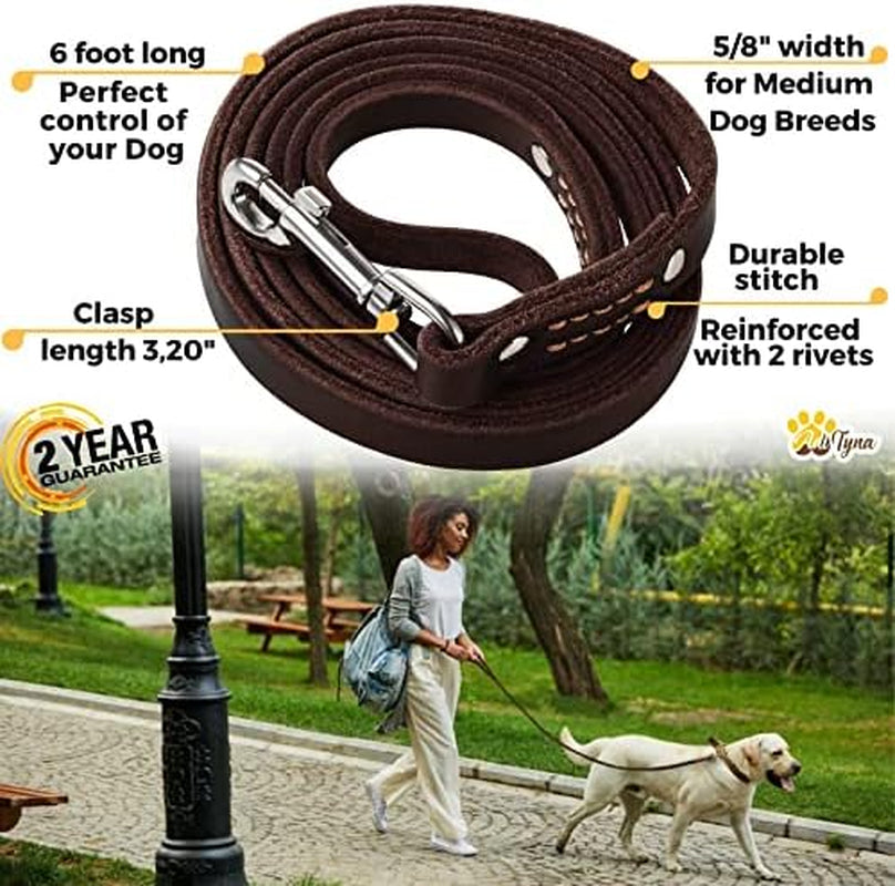 adityna-leather-dog-leash-for-small-medium-dogs-6ft-x-5-8-soft-yet-strong-leather-leash-for-walking-training-hiking-great-for-shih-tzu-poodle-french-bulldog-corgi
