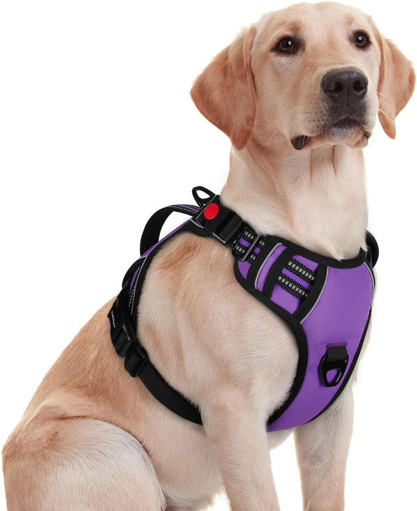 Rabbitgoo Large Dog Harness, Easy Wear with 3 Buckles and Lift Handle | No Pull with Front Clip for Walking, Adjustable Soft Padded, Reflective, Easy Control, Pink, Large18