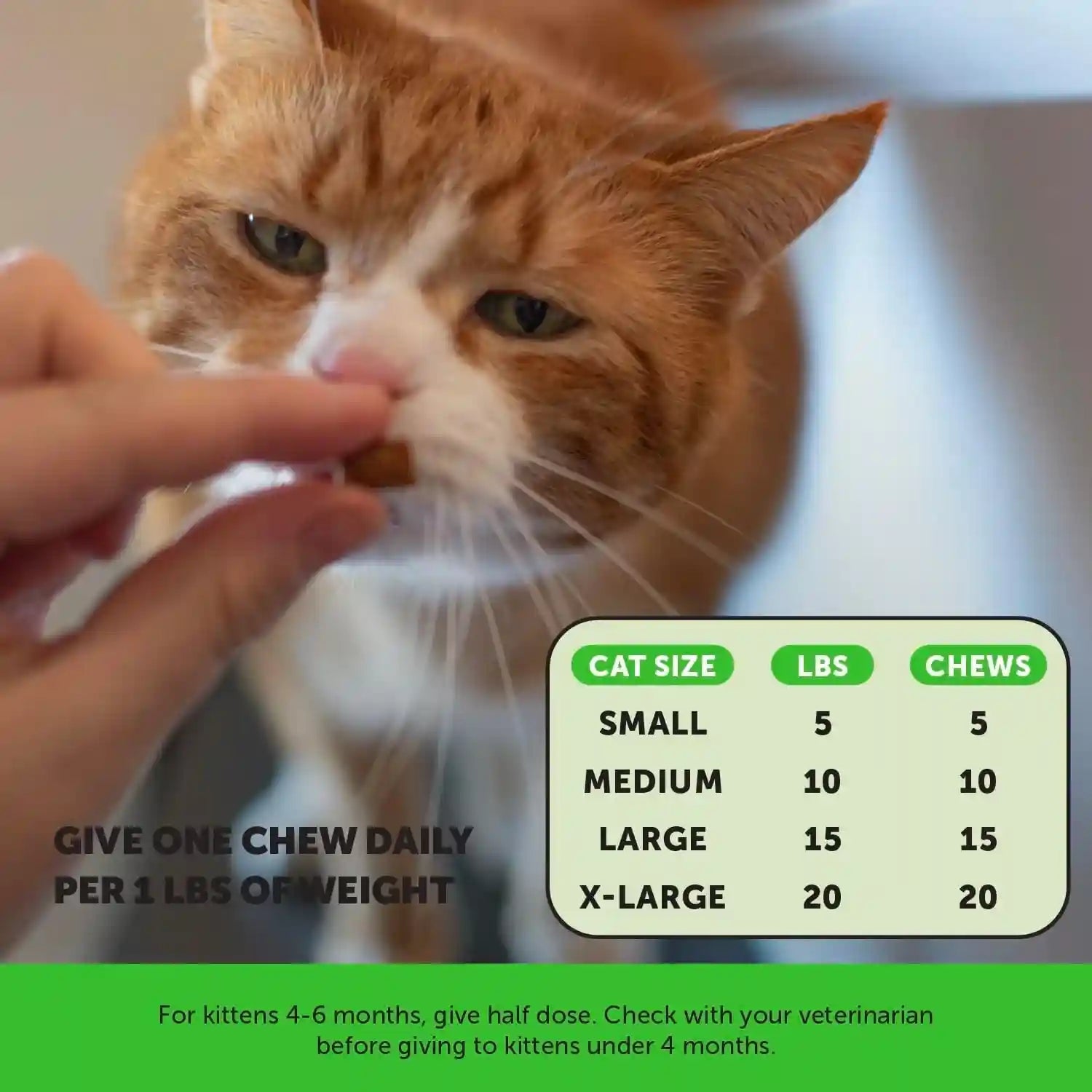 cat-probiotics-crunchy-creamy-chews-for-digestive-health-cat-constipation-occasional-diarrhea-relief-daily-probiotics-for-cats-with-prebiotics-fiber-gut-flora-sensitive-stomach-30-day-supply
